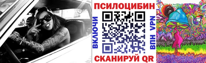 Псилоцибиновые грибы Psilocybe Севск