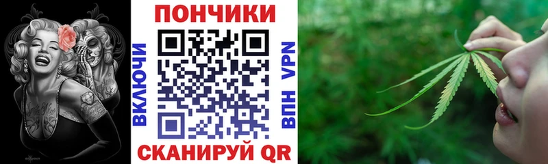 продажа наркотиков  Севск  Конопля сатива 